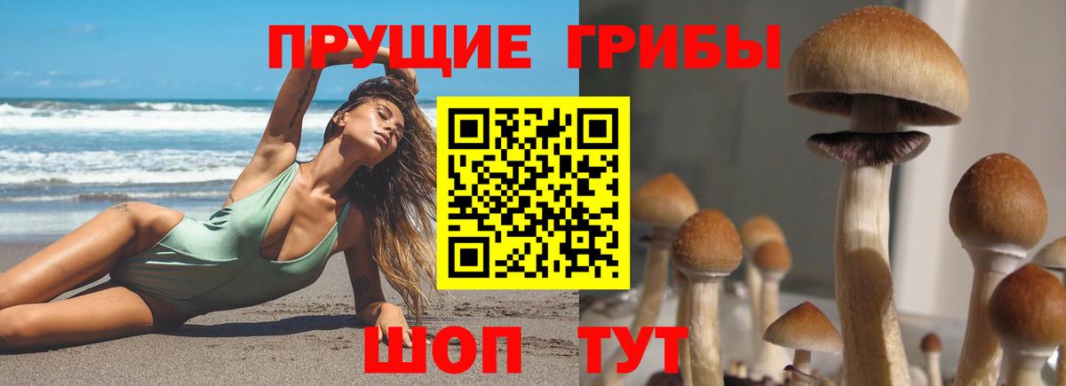 Крымск  Галлюциногенные грибы прущие грибы  Вход с VPN 