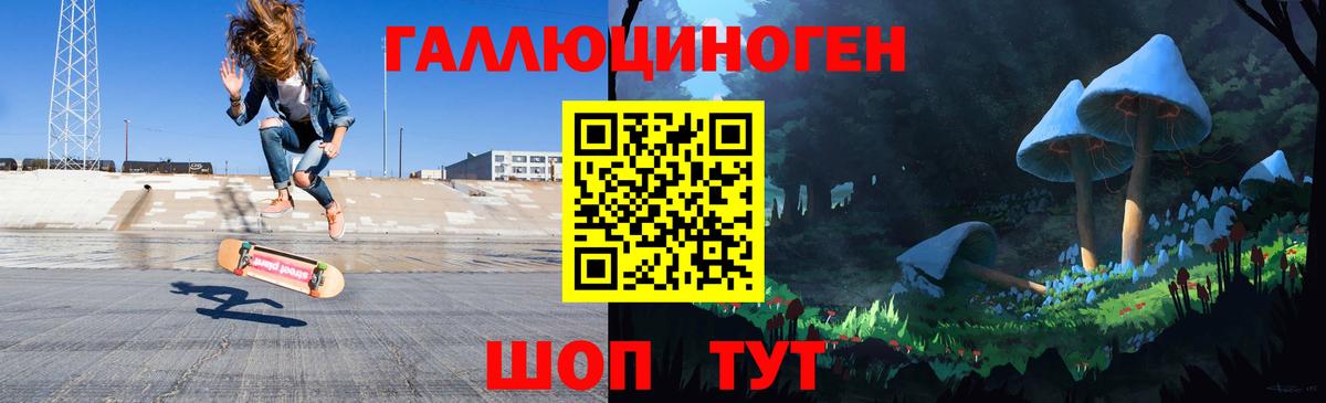 Псилоцибиновые грибы Cubensis Крымск